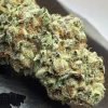 Mickey-Kush-2.jpg
