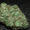 Stardawg-1.png